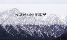 万焕云2022年运势