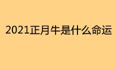 2021正月牛是什么命运是上等命吗