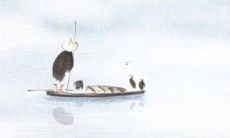 95年属猪的2022年全年运势