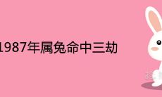 1987年属兔命中三劫是什么出现在哪一年