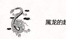 属龙的超级贵人