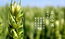 2020年阴历四月廿七-小满前一天开业好吗,小满三候解析！