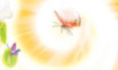 如何催旺偏财运这个要看