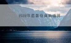 2022年属鼠生肖的运势