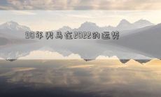 90年男马在2022的运势