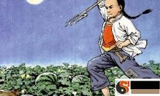 从鲁迅的《故乡》到八字五行起名！