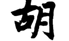 姓胡的女孩子名字大全