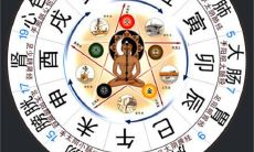 由生辰八字看人身体健康状况