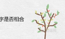 怎么算八字是否相合夫妻八字婚配口诀
