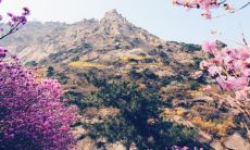 2019年4月5号订婚好吗 日子怎么样