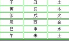 地支六合
