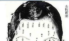 哪种命相八字的人适合学算命