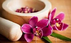 八字看桃花运出现的时间