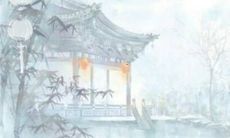 2023年生肖波色卡