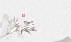 属虎人的名字大全集