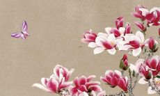 属虎2023年2月结婚