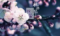 惊蛰节气时吃梨有什么寓意 “一不三要”指什么？