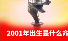 2001年出生是什么命白蜡金命