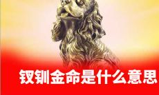 庚戌辛亥钗钏金命是什么意思