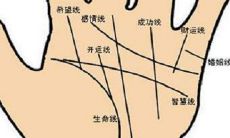 手相分析没有婚姻线的男人是什么命 对婚姻不忠
