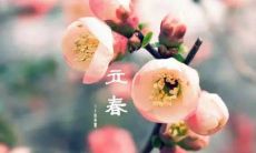 立春日不能出门吗 立春出门远行有禁忌吗？
