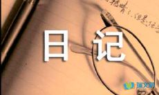 元宵节日记
