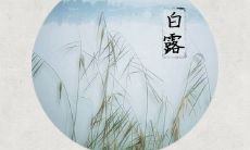 2019年白露需要注意什么 白露如何防秋燥？