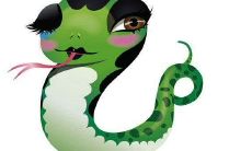属蛇和属虎相合吗？属蛇和属虎性格如何？