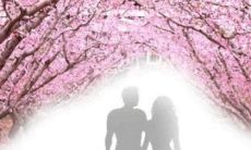 2021年桃花运最旺的生肖？2021年哪些生肖走桃花运?