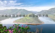 不造作 因此受到人们喜爱的星座
