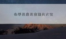 白羊星座星空图片大全