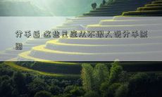 分手后 这些星座从不跟人说分手原因