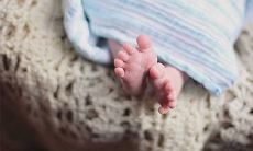 当你是老虎的时候 生活最苦吗？虎年、虎月、虎日的命理