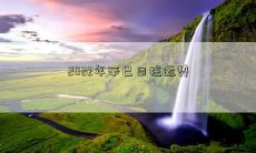 2022年辛巳日柱运势