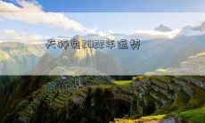 天秤兔2022年运势
