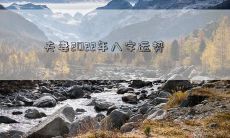 夫妻2022年八字运势