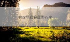 2022年运势查询八字