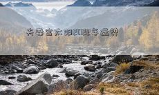 夫妻宫太阳2022年运势