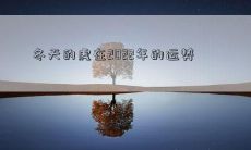 冬天的虎在2022年的运势