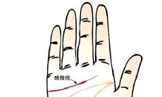 手掌肥厚的婚姻运势非常的美满？手掌厚的人运势如何？
