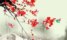 属虎的哪些年份犯太岁
