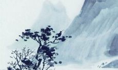 2022年属虎人的全年财运势