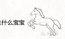 90马和94狗生什么宝宝属牛宝宝好吗