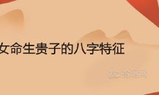 女命生贵子的八字特征