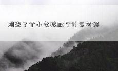 刚生了个小女孩取个什么名好