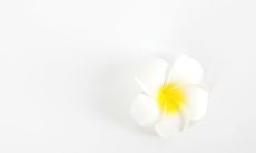 属虎的今年多大2020，属虎的2020年多少岁