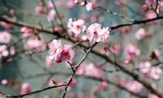 属蛇的2019年3月运势查询