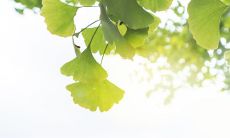 属马的2019年4月运势