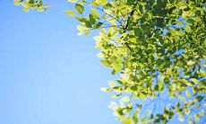 属虎的人2019年4月生肖运势