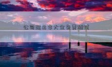 公司起名字大全免费测试